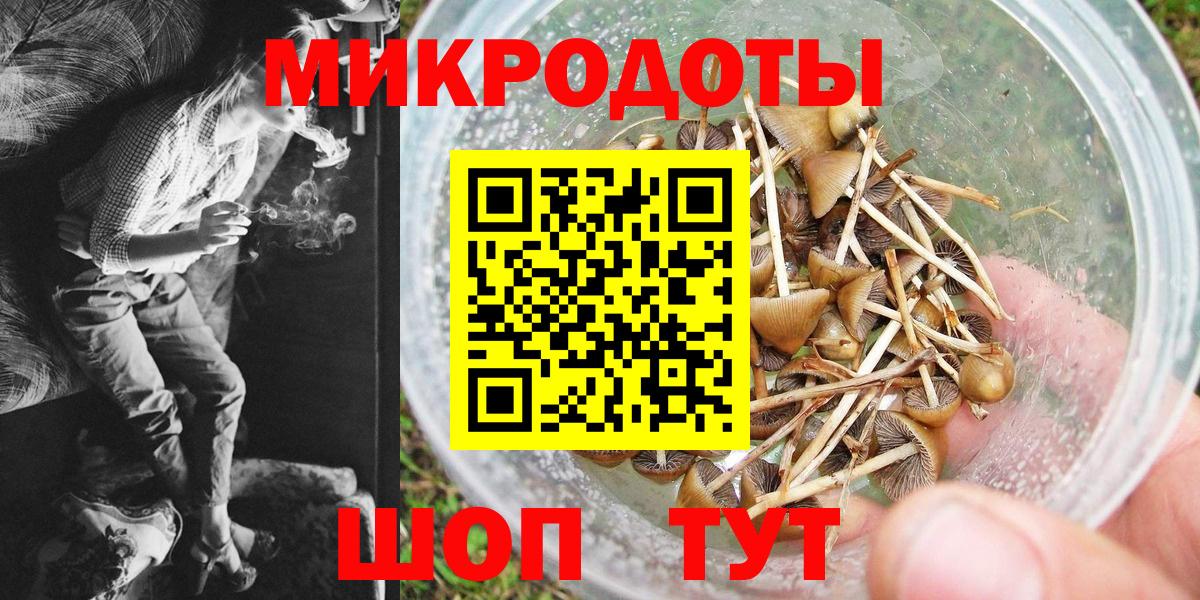 Кунгур  Псилоцибиновые грибы Psilocybe  купить наркоту  Вход с VPN 